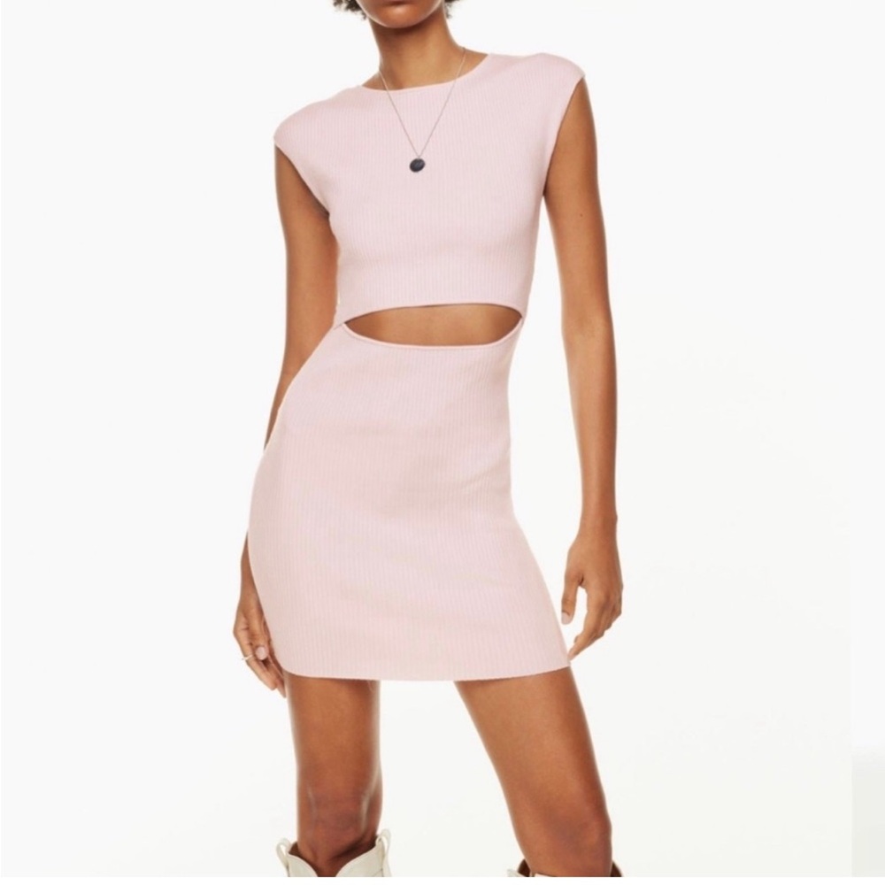 Aritzia Pink Mini Dress